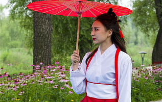 《寻梦莲花湾》