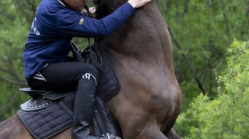 长白山云顶马术骑马场