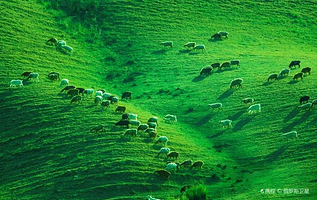 佛山公园待甫僧景区