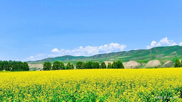 唐布拉国家森林公园