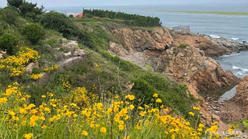 凤凰岛旅游度假区