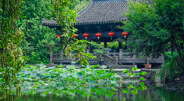 沈园