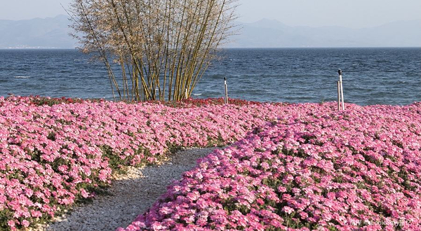 澄江广龙抚海湾