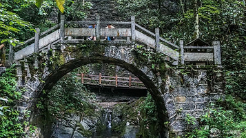 鸡公山原始森林