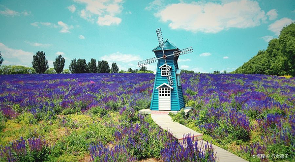 黄家沟休闲营地