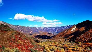 群加国家级森林公园