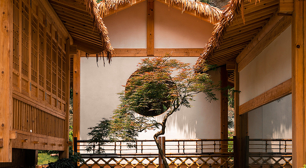 雁荡山净名谷景区