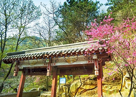 泰山风景名胜区-桃花源