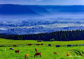 草千里（草千里之滨）