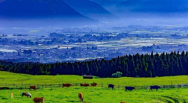 草千里(草千里之滨)