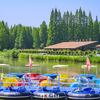 金湖水上森林景区