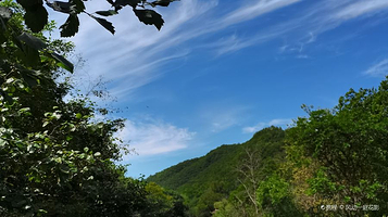 三道关国家森林公园雾溪谷