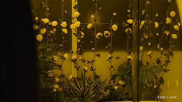 深圳华润大厦艺术中心