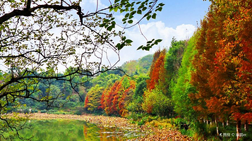 照母山森林公园