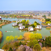 金卉庄园