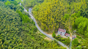 笄山竹海风景区