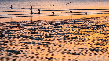 泽库镇潮汐公社赶海园