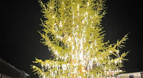 花水湾豪生百乐汤温泉