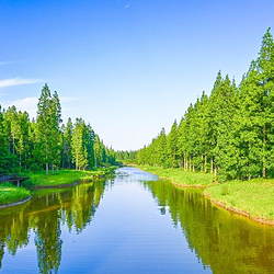 黄海森林公园