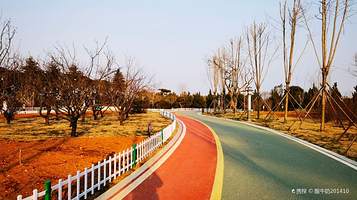 龙门南山牡丹文化园