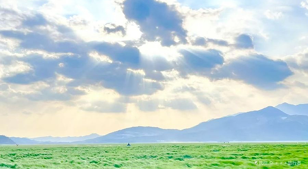 鄱阳湖大草原景区-无念岛