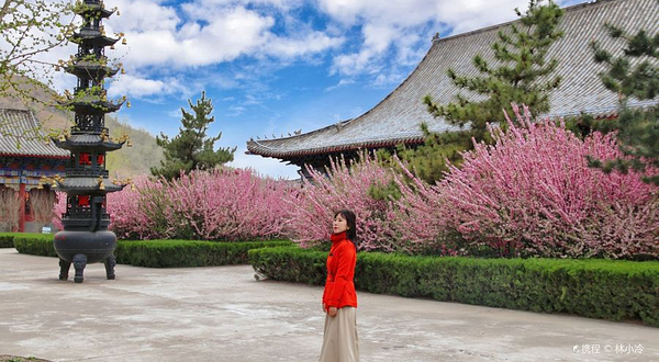 醴泉寺