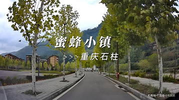 中益中华蜜蜂小镇