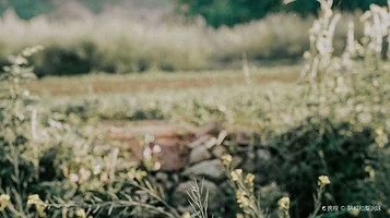 长安天子峪滑翔基地