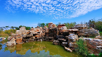 沧州铁狮与旧城遗址公园