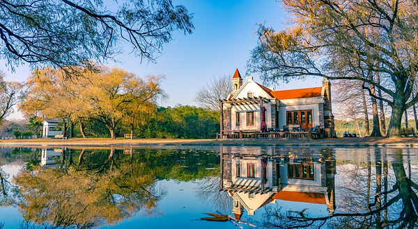 上海共青森林公园