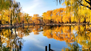 圆明园遗址公园-绮春园景区