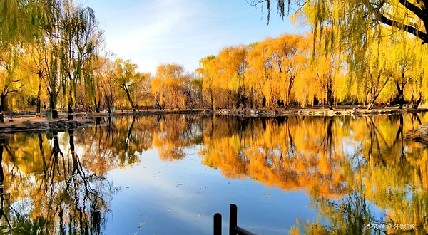 圆明园遗址公园-绮春园景区