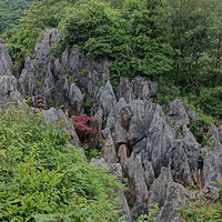 华蓥山地质博物馆