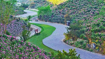 北京市纳波湾园艺有限公司