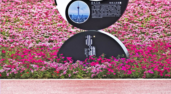 北湖生态公园