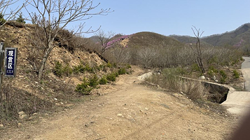 岫岩黄岭映山红景区