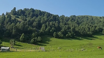 Daud Es Aluu Borboru