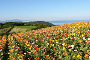 兵库县立淡路花回廊