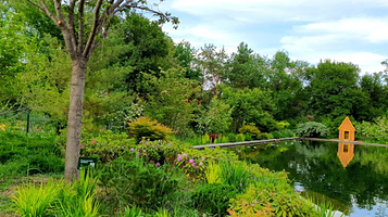 Kollektsionnyy Uchastok 