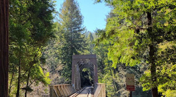 Garden of Eden - Henry Cowell Redwood State Park