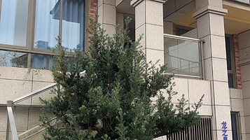 龙之泉78度硫磺温泉