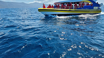 Bruny Island Cruises