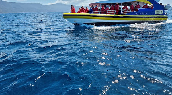 Bruny Island Cruises