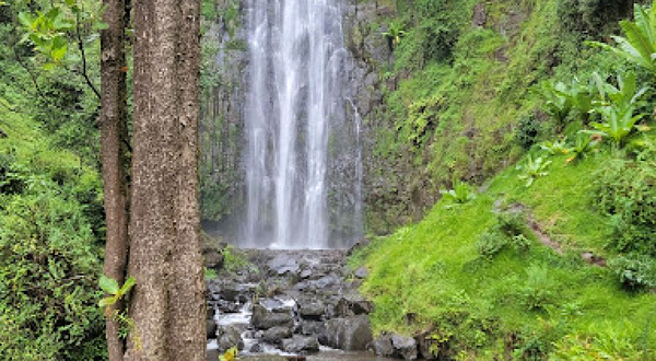 Materuni Trekking And Coffee Tour