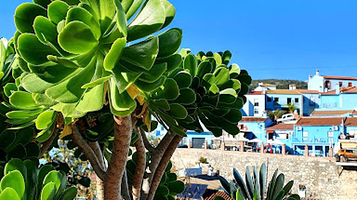 Mirador de la Torrichela