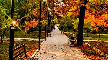 Alley of the journalists