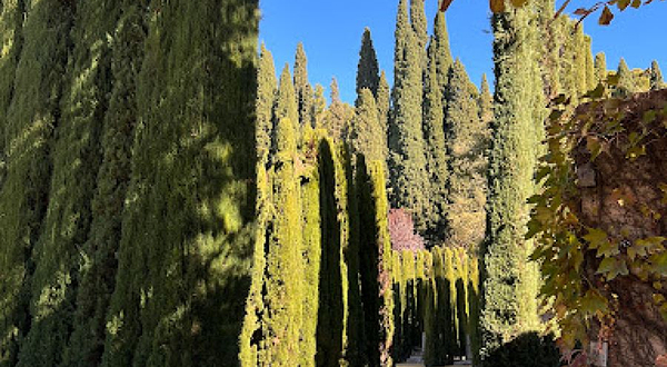 轩尼洛里菲花园