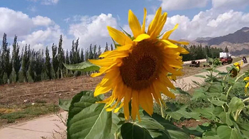 维信国际高尔夫度假村