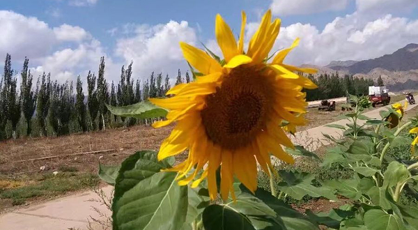 维信国际高尔夫度假村