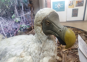 路易港国家历史博物馆